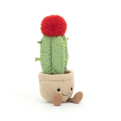 Amuseable Moon Cactus - Brambles Gift Shop