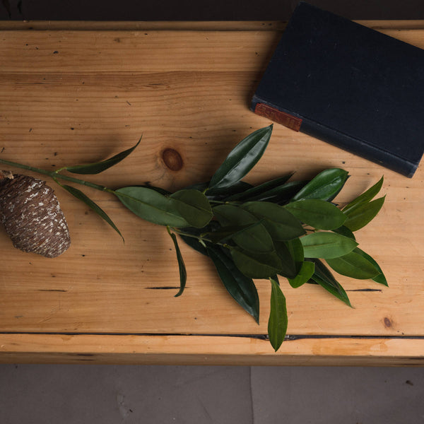 Artificial Faux Bay Leaf Spray