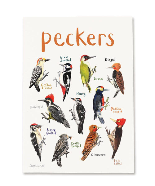 Peckers Art Print - A4 - Brambles Gift Shop