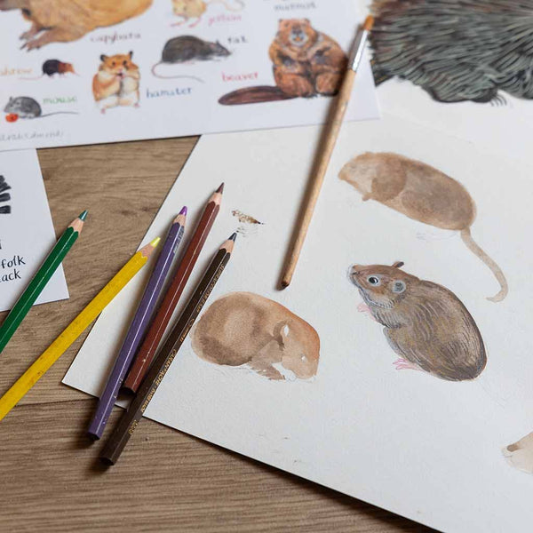 Nibblers Art Print - A4 - Brambles Gift Shop