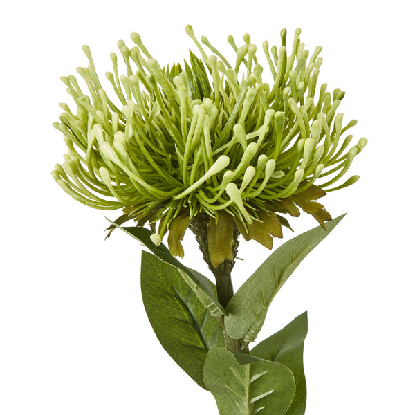 Artificial Green Protea Lorea Stem