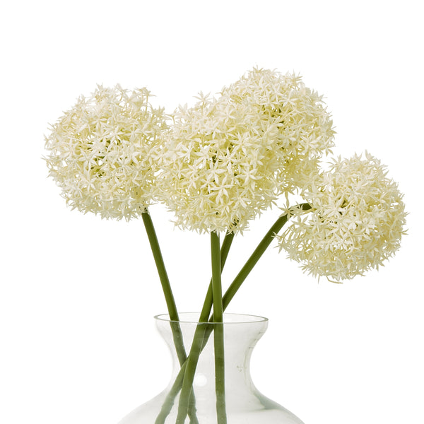Cream Allium Stem