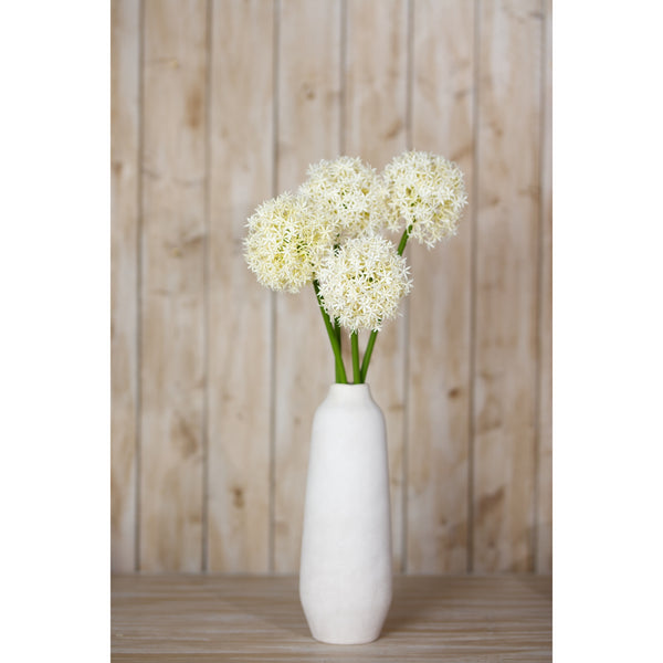 Cream Allium Stem