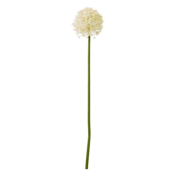 Cream Allium Stem