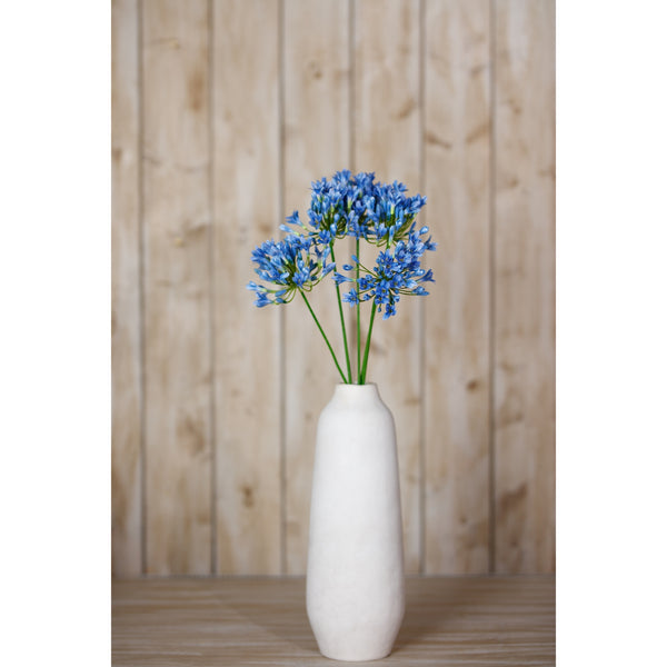 Blue Agapanthus Stem