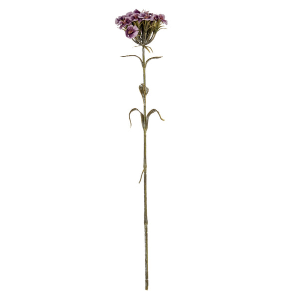 Purple Dianthus Spray