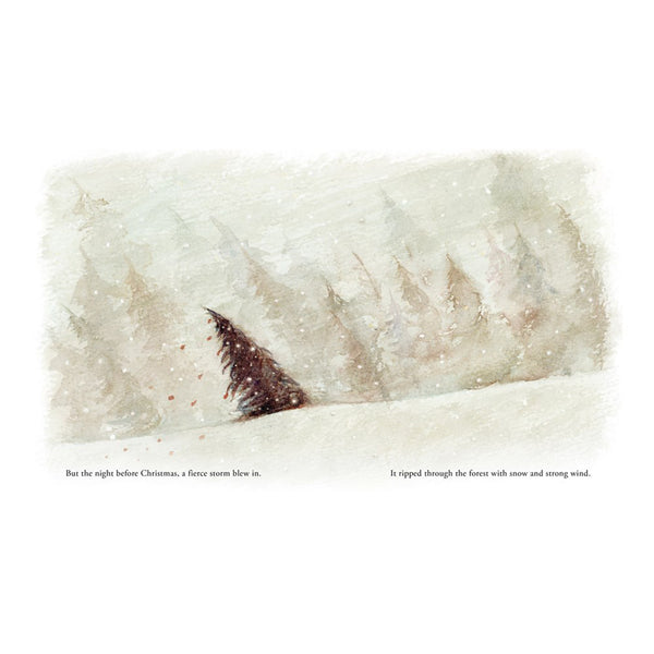 Our Little Adventure At Christmas Book