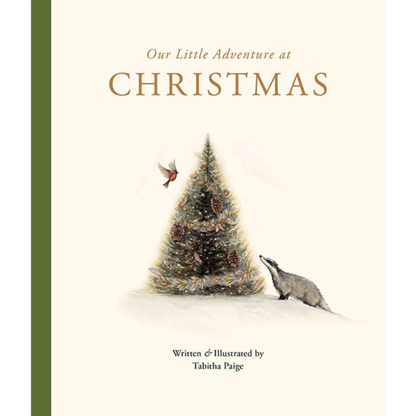 Our Little Adventure At Christmas Book