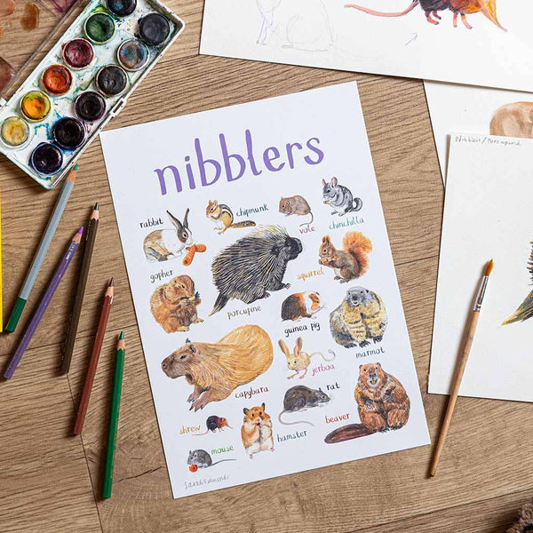 Nibblers Art Print - A4 - Brambles Gift Shop
