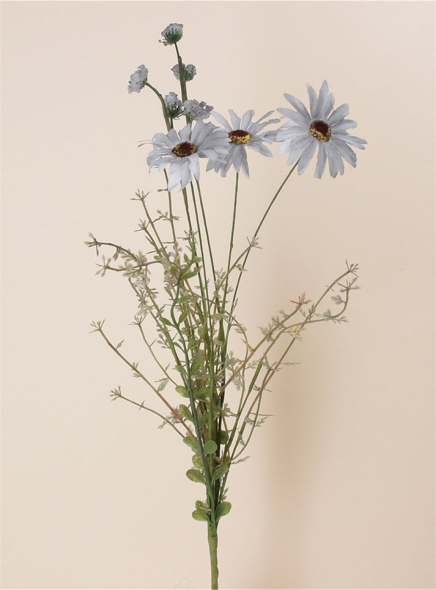 Blue Wild Daisy Flower