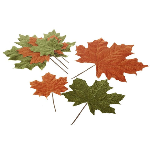 Green and Orange Autumn Leaves
