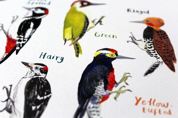 Peckers Art Print - A4 - Brambles Gift Shop