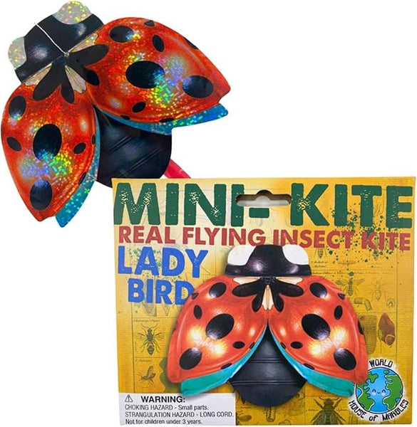 Real Flying Insect Kite