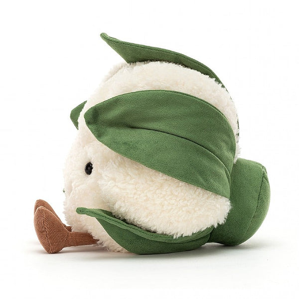 Amuseable Cauliflower - Brambles Gift Shop