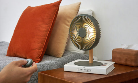 Beyond Portable & Detachable Desk Fan/ Light - Brambles Gift Shop