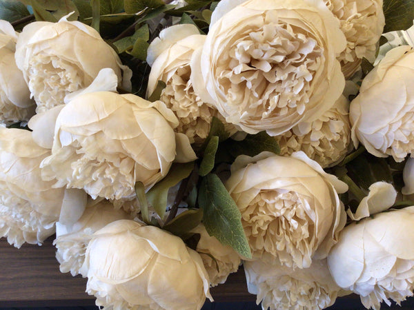 Antique Cream Peony Stem