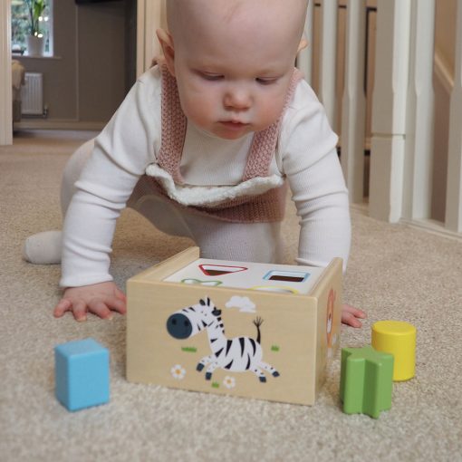 Studio Circus Shape Sorter Box - Brambles Gift Shop