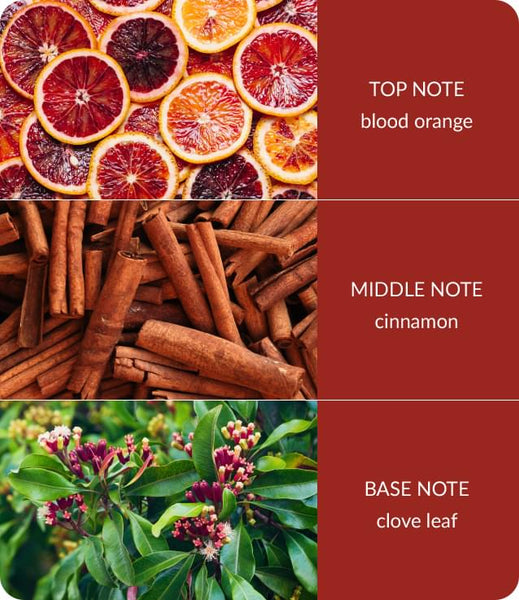 Orange Zest And Clove Candle - Brambles Gift Shop