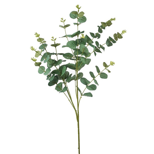 Eucalyptus Branch - Brambles Gift Shop