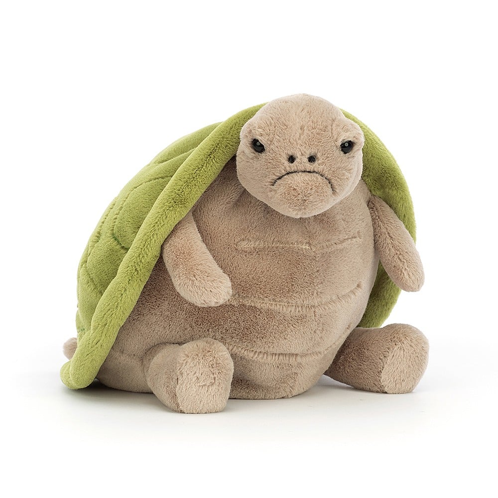 Timmy Turtle - Brambles Gift Shop