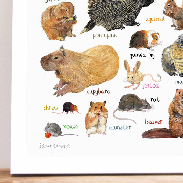 Nibblers Art Print - A4 - Brambles Gift Shop