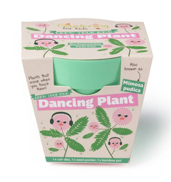 Grow Your Own Dancing Plant