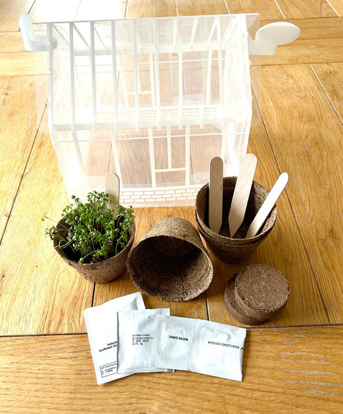 Mini Greenhouse Kit