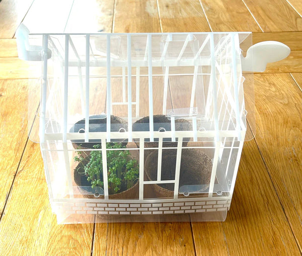 Mini Greenhouse Kit