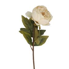 Antique Cream Peony Stem