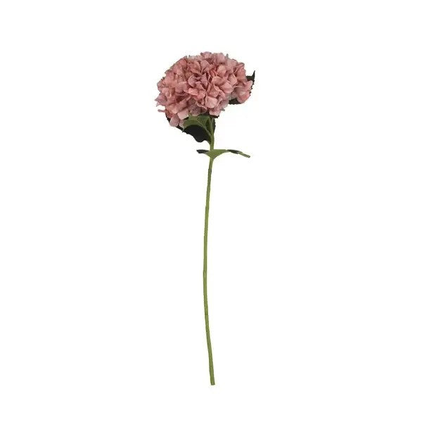 Hydrangea Stem