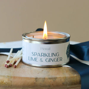 Sparkling Lime And Ginger Paint Pot Candle