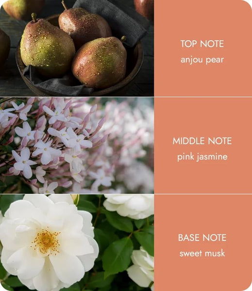 Angel Touch Essential Oil