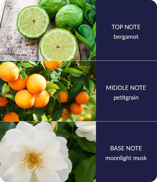 Starry Night Diffuser - Brambles Gift Shop