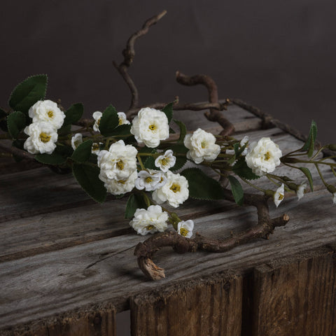 White Wild Meadow Rose - Brambles Gift Shop