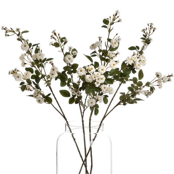 White Wild Meadow Rose - Brambles Gift Shop