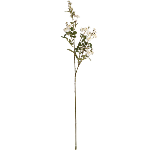 White Wild Meadow Rose - Brambles Gift Shop