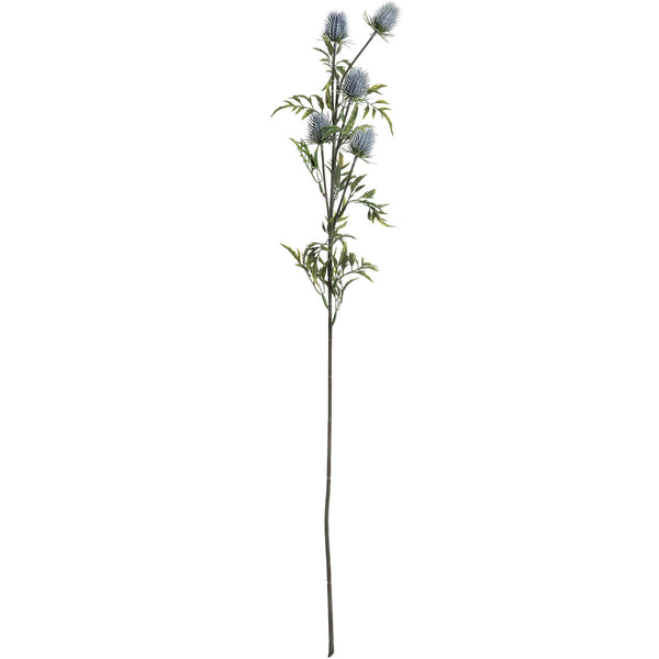 Eryngium Blue Thistle - Brambles Gift Shop