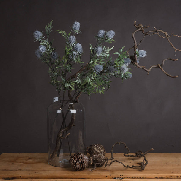 Eryngium Blue Thistle - Brambles Gift Shop
