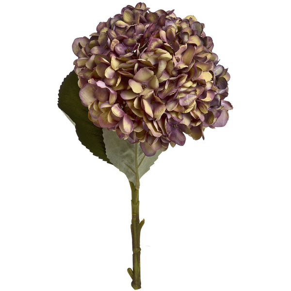 Autumn Burgundy Hydrangea - Brambles Gift Shop