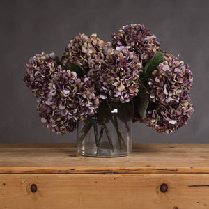 Autumn Burgundy Hydrangea - Brambles Gift Shop