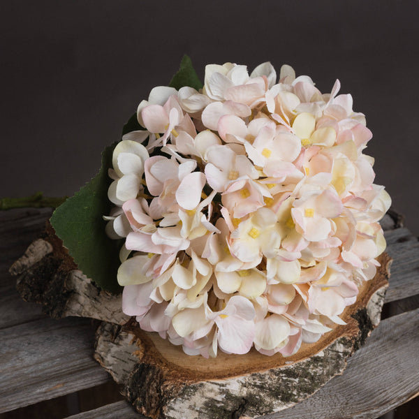 Autumn White Hydrangea - Brambles Gift Shop