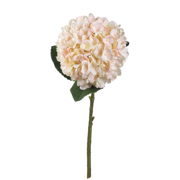 Autumn White Hydrangea - Brambles Gift Shop