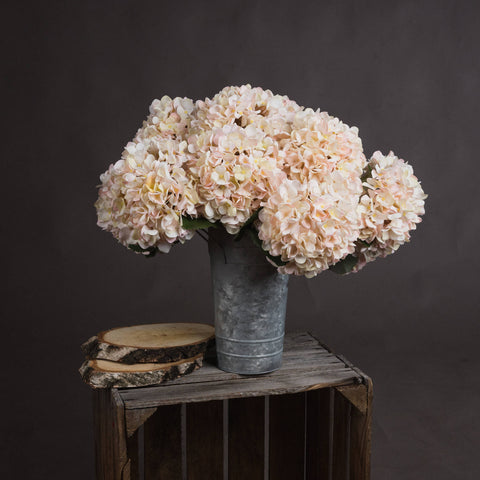 Autumn White Hydrangea - Brambles Gift Shop