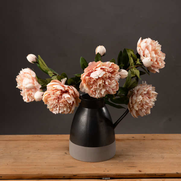 Peach Peony Rose - Brambles Gift Shop