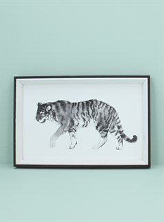 Monochrome Tiger Acrylic Framed Print - Brambles Gift Shop