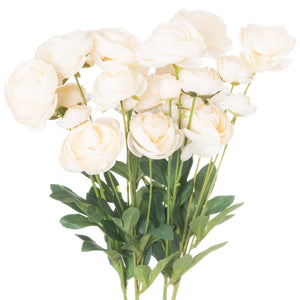 Cream Ranunculus Stem - Brambles Gift Shop