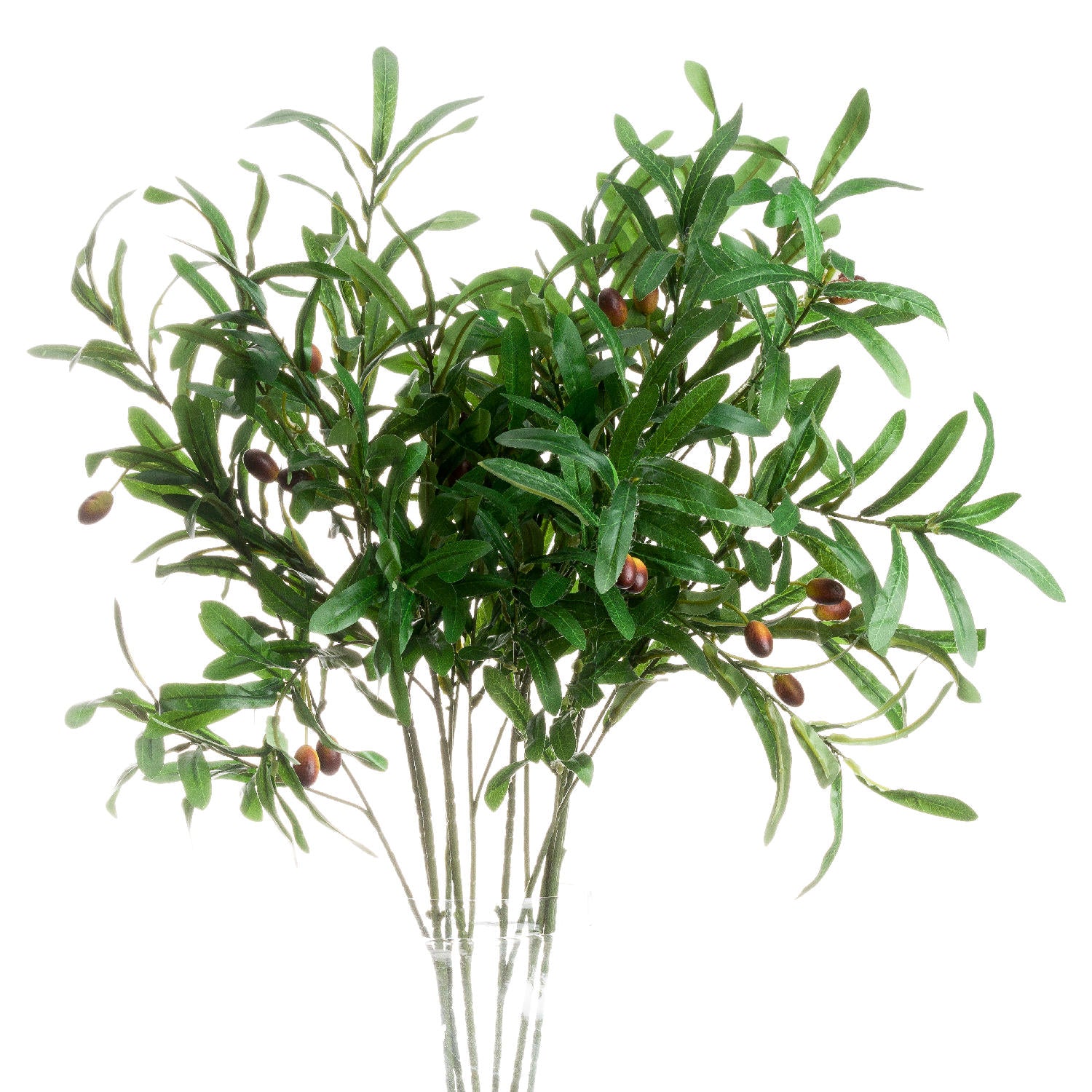 Olive Branch - Brambles Gift Shop