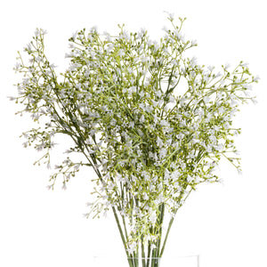 White Wild Flower Spray - Brambles Gift Shop