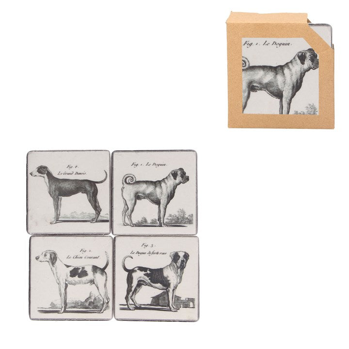 Line Drawing Dogs Coasters (Set of 4) - Brambles Gift Shop