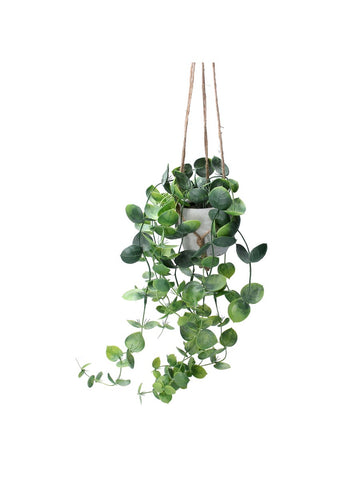 Faux Trailing Hoyas Hanging Plant - Brambles Gift Shop